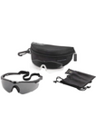 Revision StingerHawk Eyewear APEL